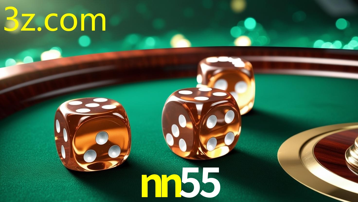 NN55.COM